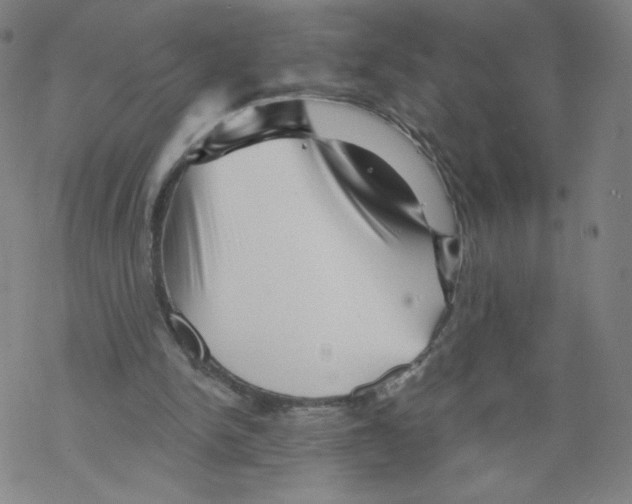 X0000067510150200605051838