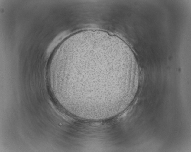 X0000067510151200605051838