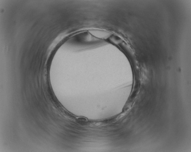 X0000067510152200605051838