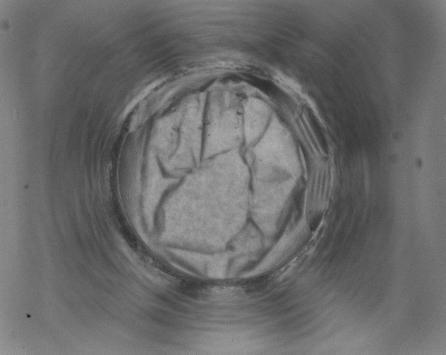 X0000067510154200605051838