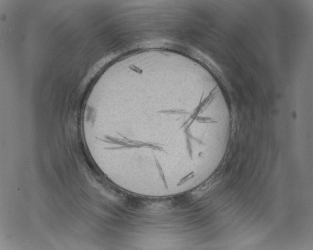 X0000067510155200605051838