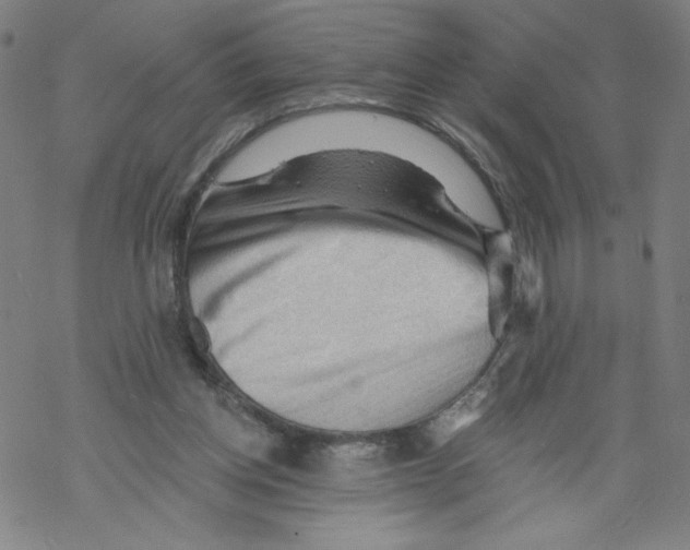 X0000067510158200605051838