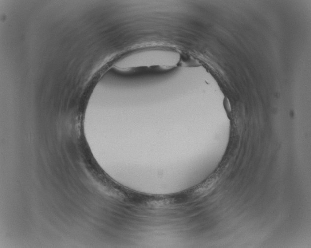 X0000067510160200605051838