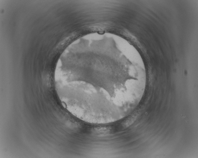 X0000067510161200605051838