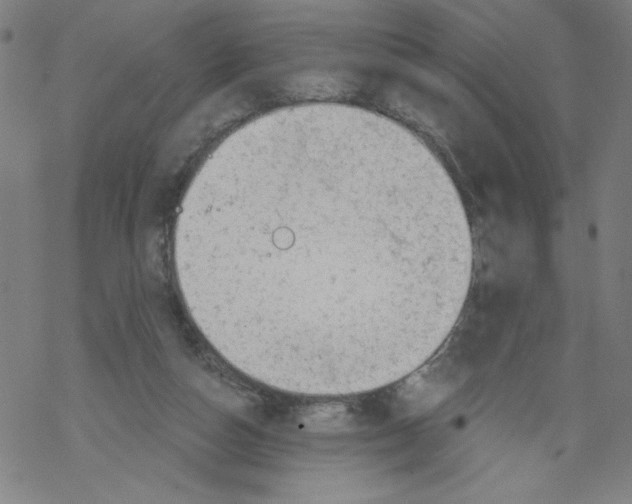 X0000067510162200605051838