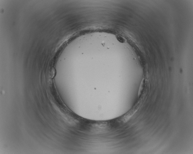 X0000067510164200605051838