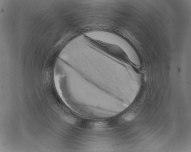 X0000067510165200605051838