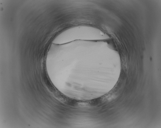 X0000067510167200605051838