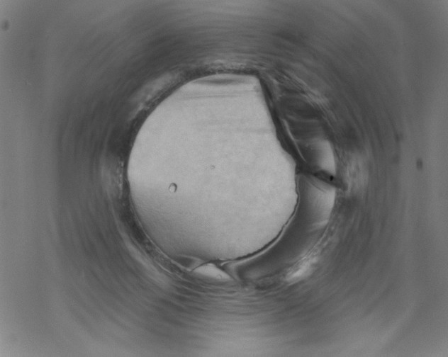 X0000067510168200605051838