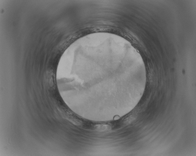 X0000067510169200605051838