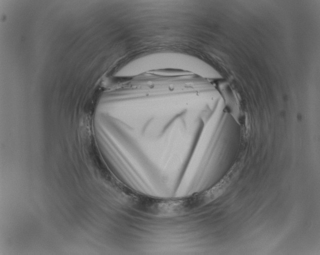 X0000067510172200605051838