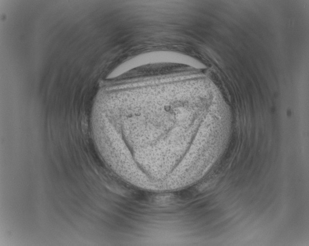 X0000067510173200605051838