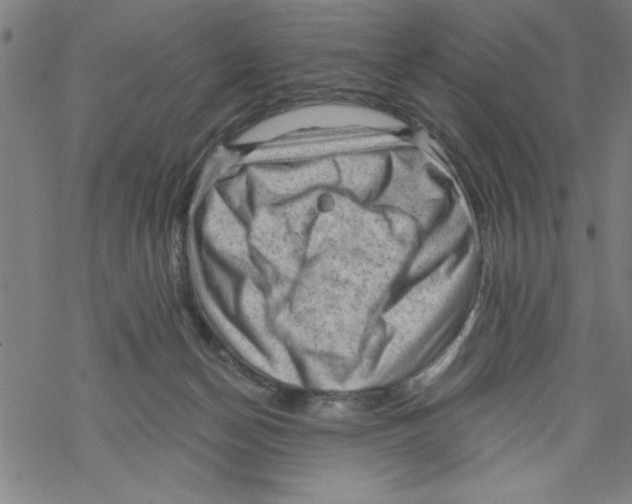 X0000067510174200605051838