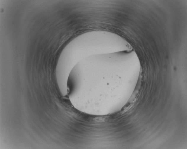 X0000067510176200605051838