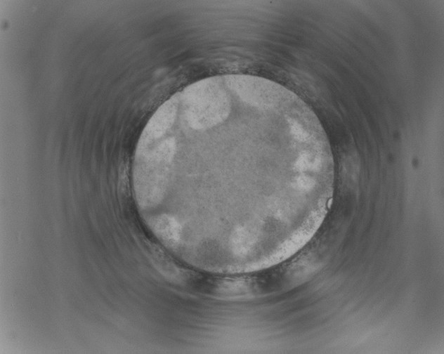 X0000067510177200605051838