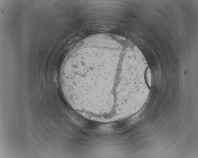 X0000067510178200605051838