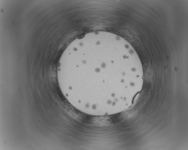 X0000067510179200605051838