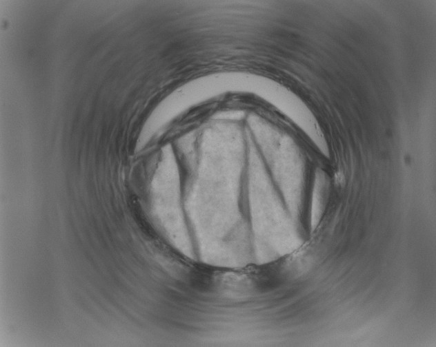 X0000067510180200605051838