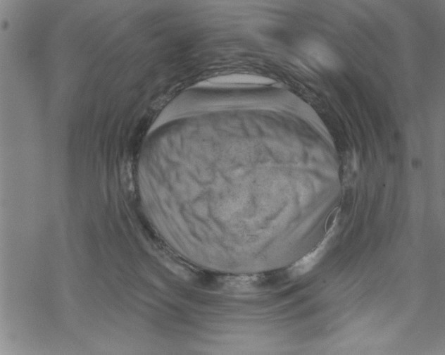 X0000067510182200605051838