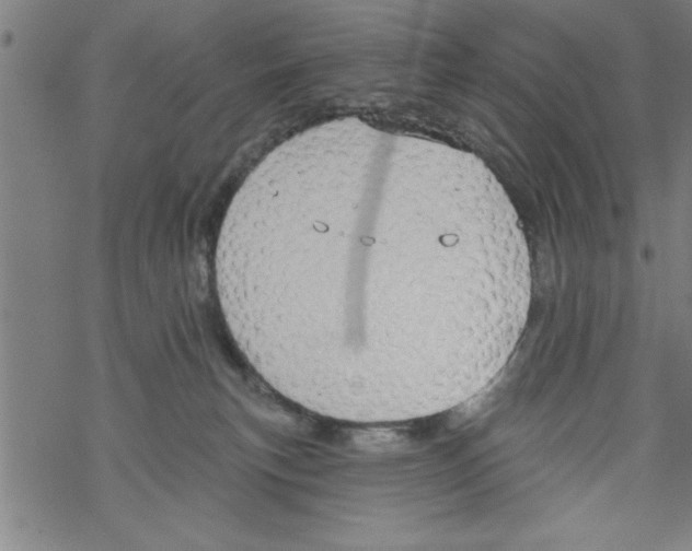 X0000067510183200605051838