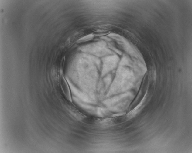 X0000067510186200605051838