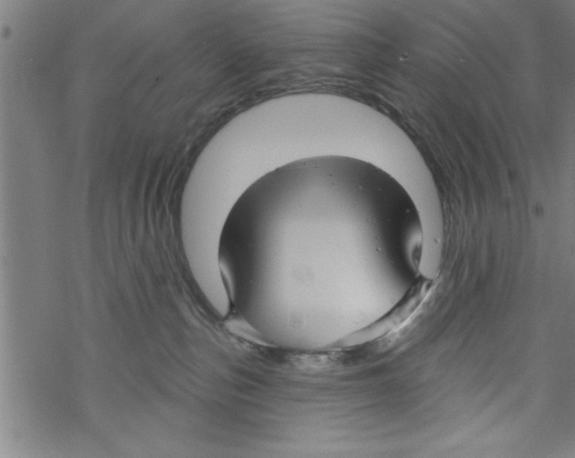 X0000067510187200605051838