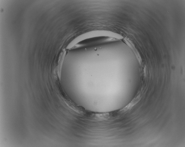 X0000067510188200605051838