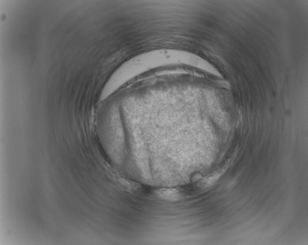 X0000067510189200605051838