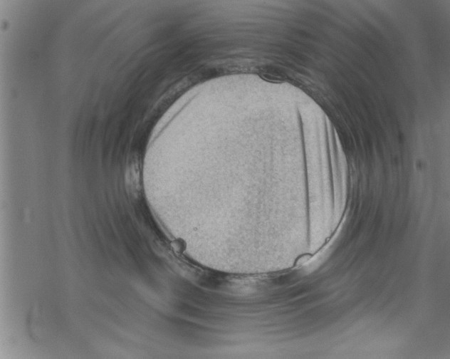 X0000067510190200605051838