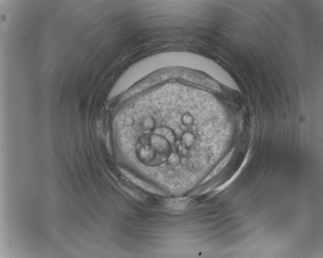 X0000067510191200605051838