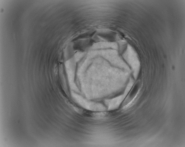 X0000067510192200605051838