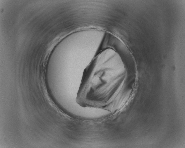 X0000067510193200605051838