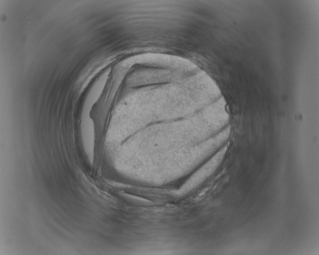 X0000067510194200605051838