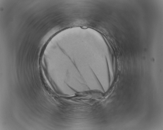 X0000067510196200605051838