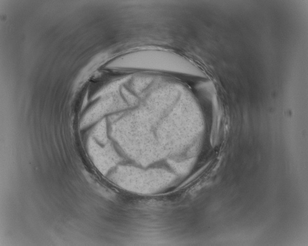 X0000067510197200605051838