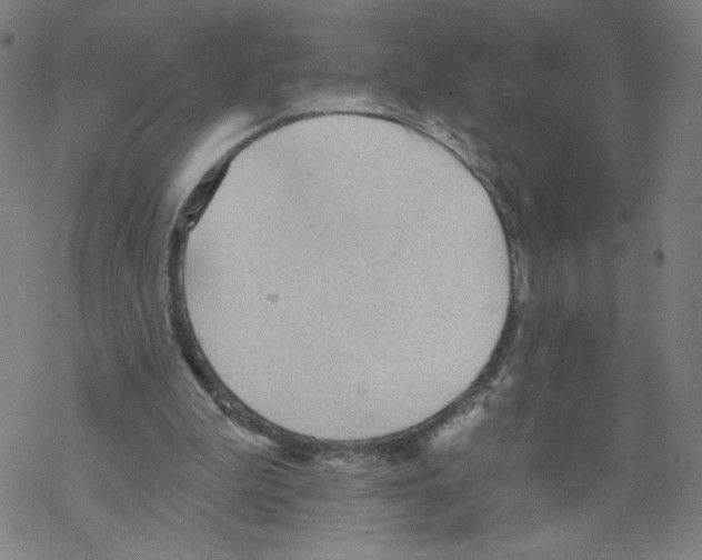 X0000067510199200605051838