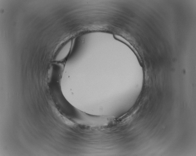 X0000067510201200605051838