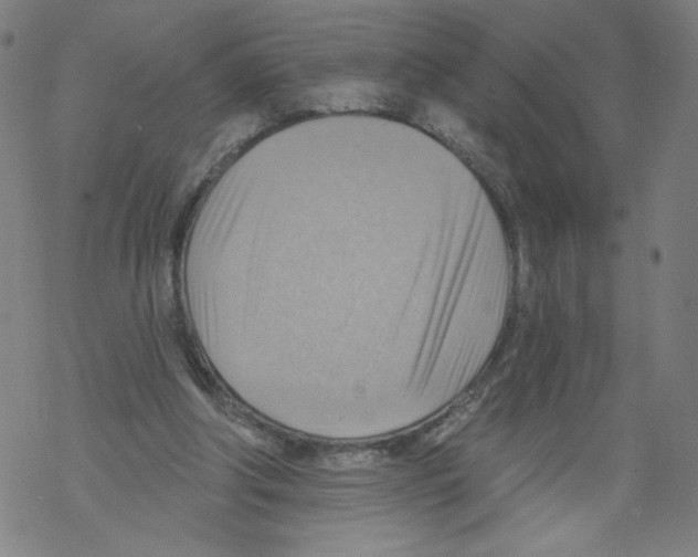 X0000067510202200605051837