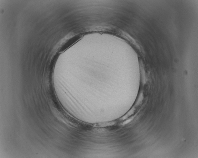 X0000067510203200605051837