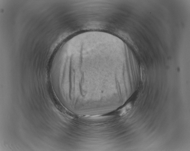 X0000067510204200605051837