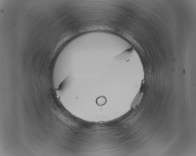 X0000067510207200605051837