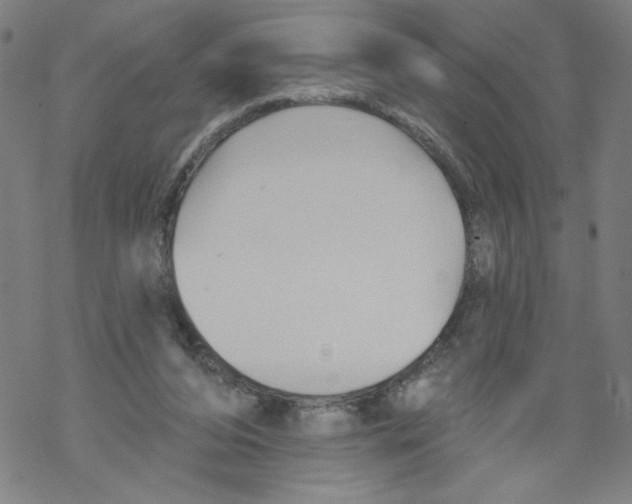 X0000067510208200605051837