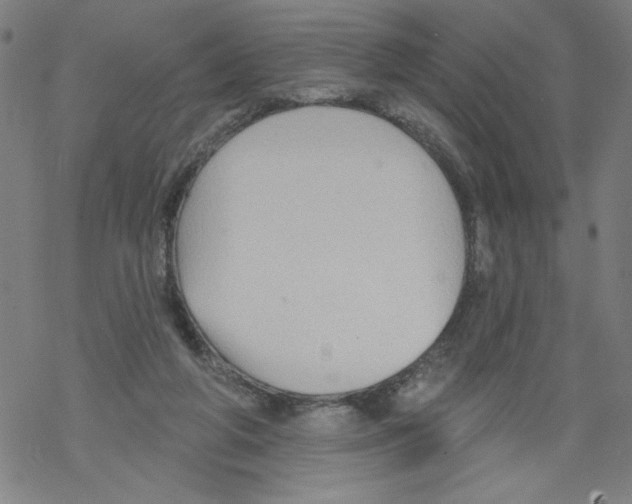 X0000067510210200605051837