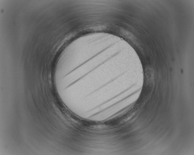 X0000067510212200605051837