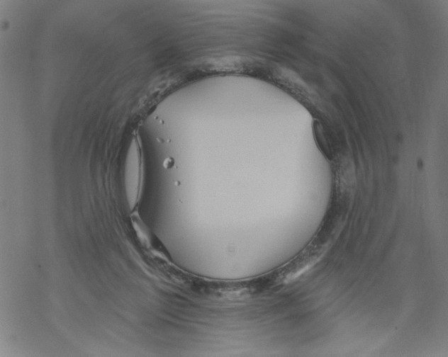 X0000067510213200605051837