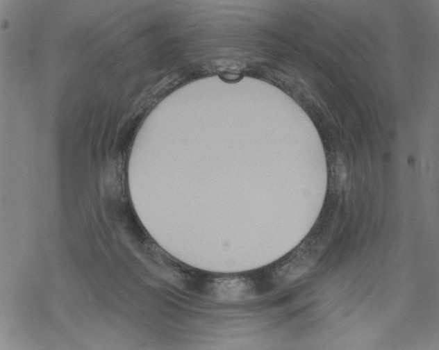 X0000067510218200605051837