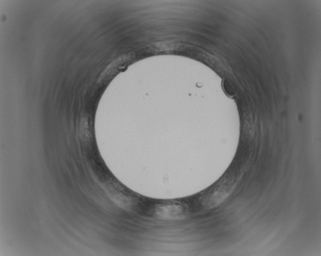 X0000067510220200605051837