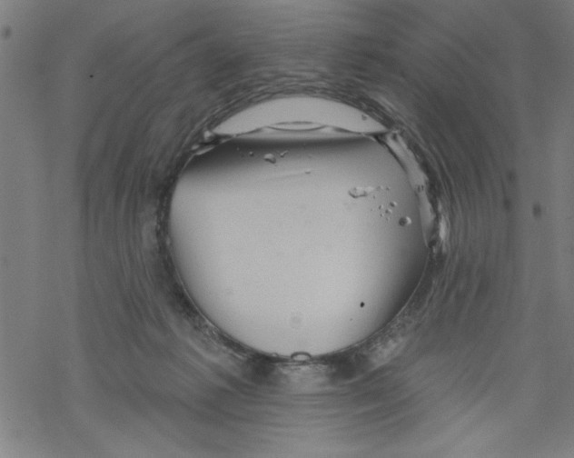 X0000067510221200605051837