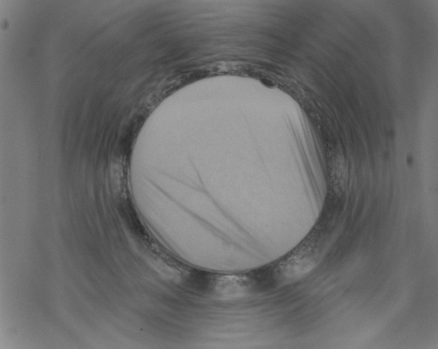 X0000067510222200605051837