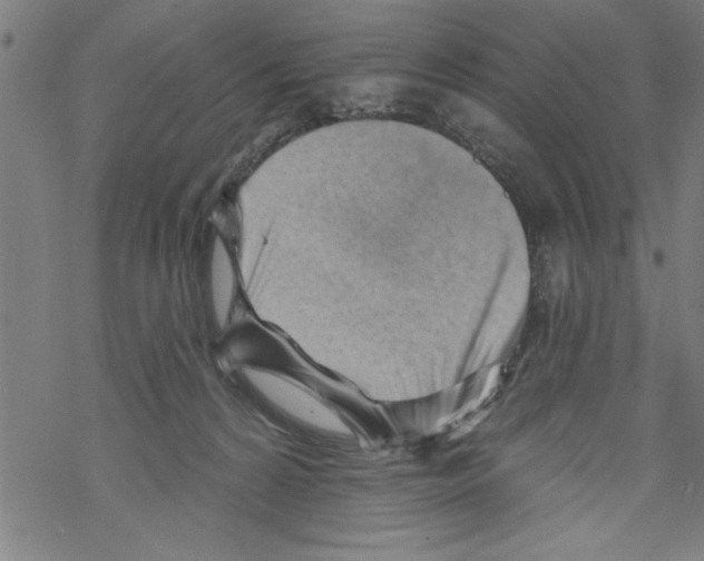 X0000067510224200605051837